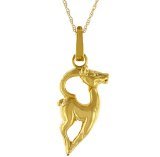 capricorn gold
